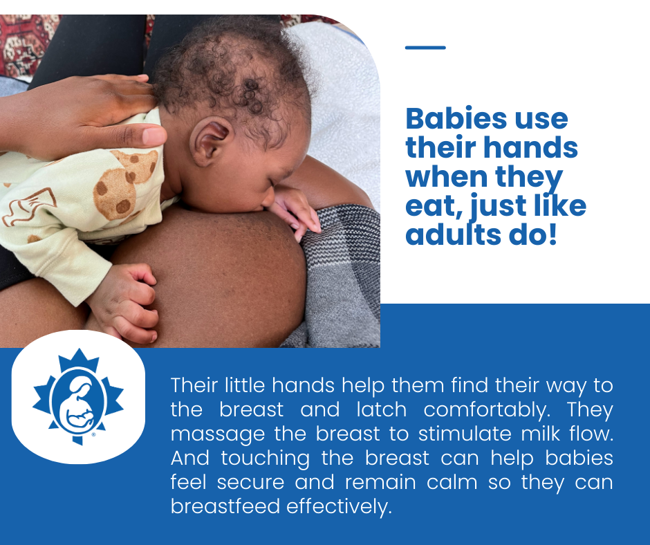 Breastfeeding Tools - Will I Need Them?  La Leche League Canada -  Breastfeeding Support and Information