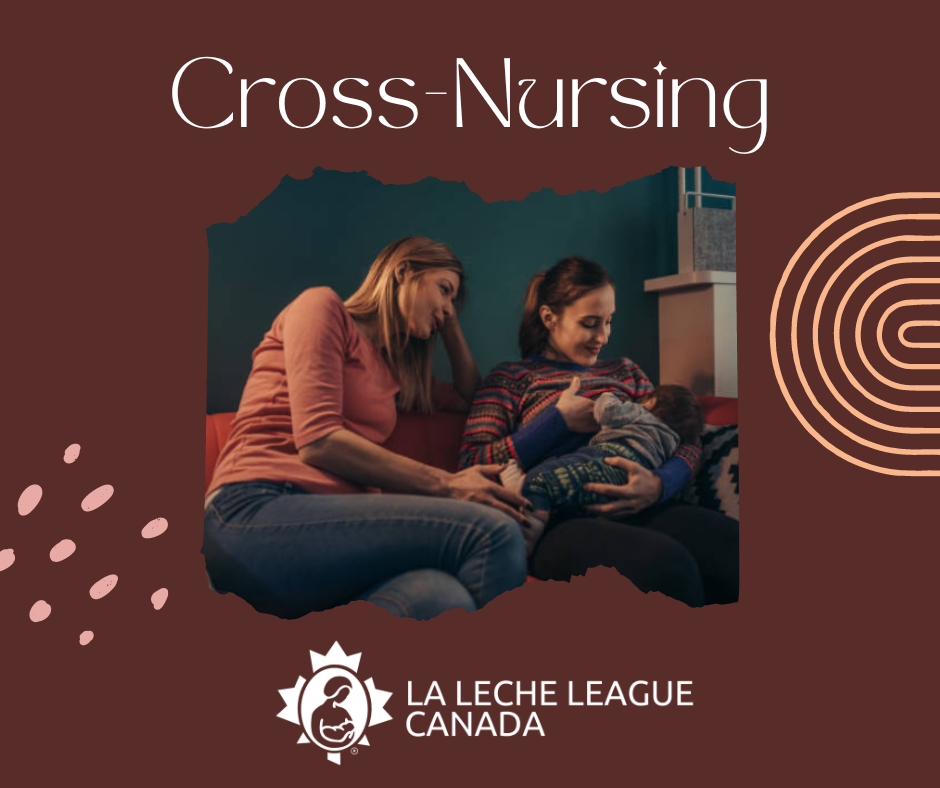 Cross-Nursing  La Leche League Canada - Breastfeeding Support and