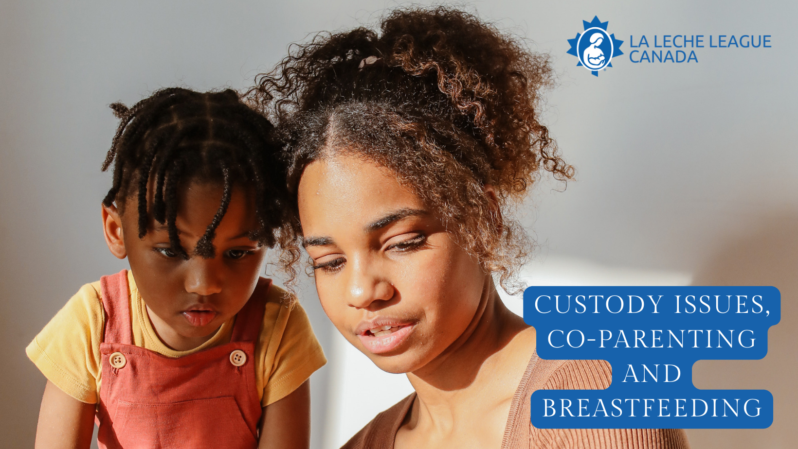 https://www.lllc.ca/sites/default/files/Custody%20Issues%2C%20Co-parenting%20and%20Breastfeeding.png