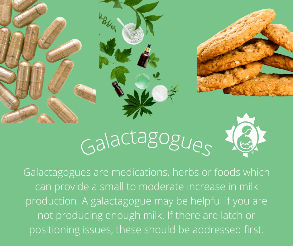 Galactagogues  La Leche League Canada - Breastfeeding Support and  Information