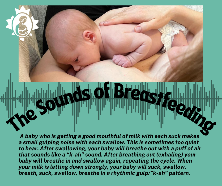 Why Babies Have A Favourite Boob When Breastfeeding