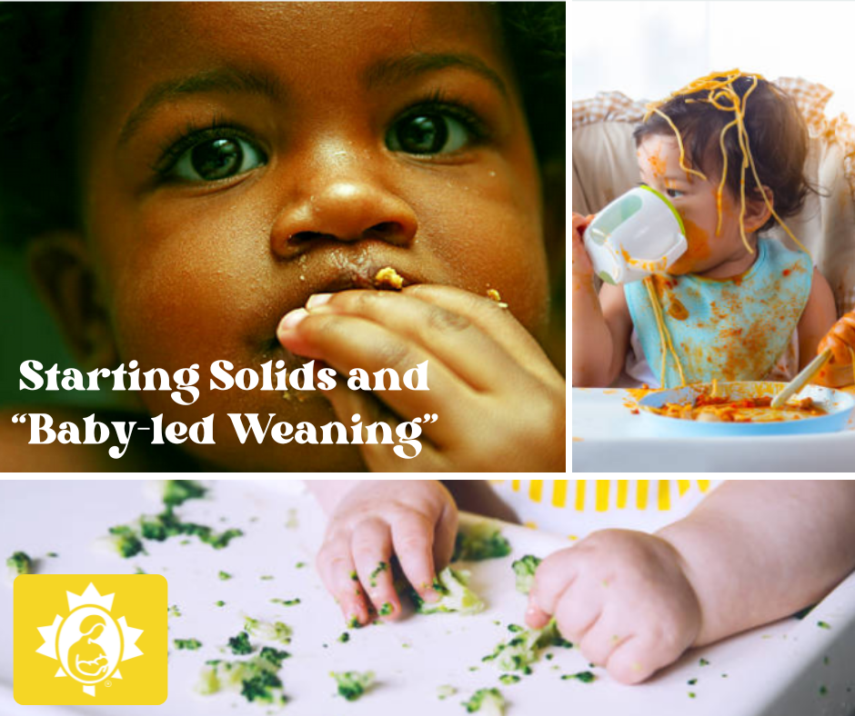 https://www.lllc.ca/sites/default/files/Starting%20Solids%20and%20%E2%80%9CBaby-led%20Weaning%E2%80%9D.png