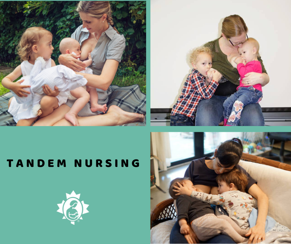 Stories: Tandem Nursing  La Leche League Canada - Breastfeeding Support  and Information