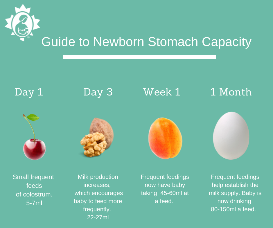 Newborns Have Small Stomachs  La Leche League Canada - Breastfeeding  Support and Information
